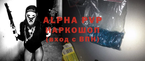 стаф Надым