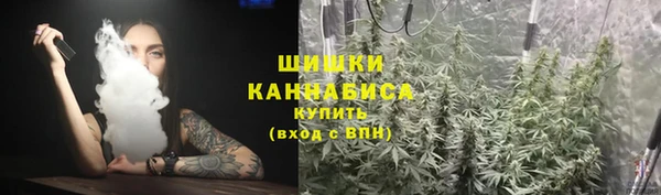трава Наволоки