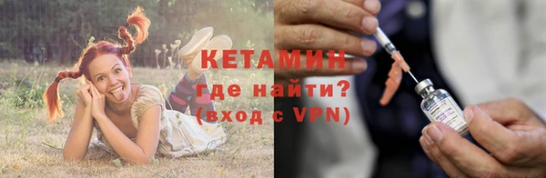 трава Наволоки