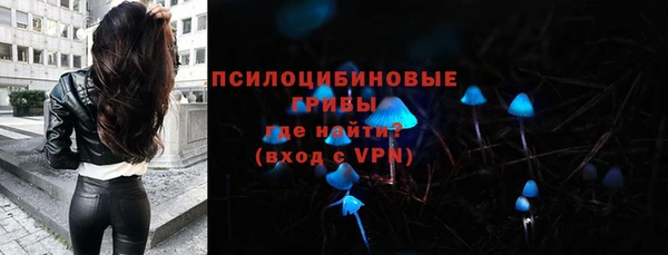 стаф Надым