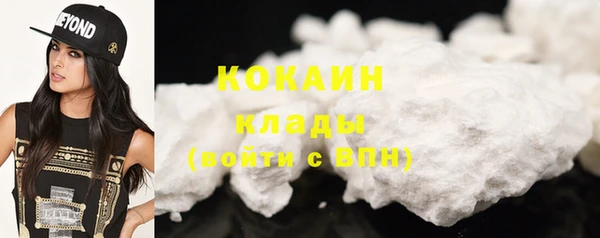трава Наволоки