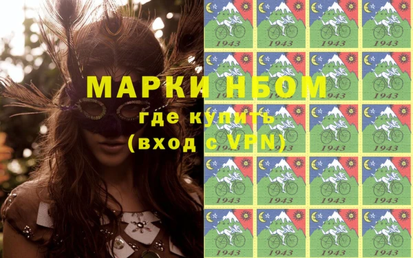 стаф Надым