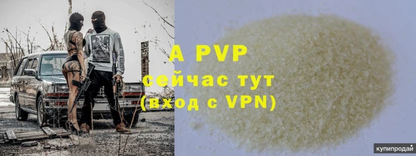 амф Бородино