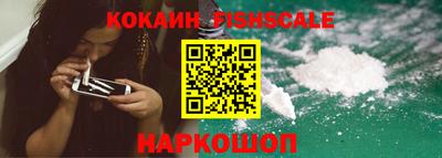 альфа пвп Заводоуковск