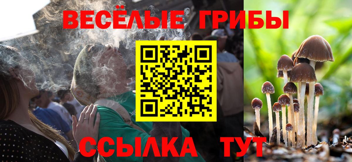 Псилоцибиновые грибы GOLDEN TEACHER Сарапул